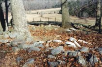 Overview of neglected cemetery